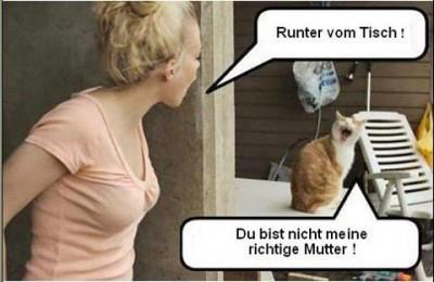 Bild zu Einwenig ablenkung - Baby Forum - Allgemeine Themen