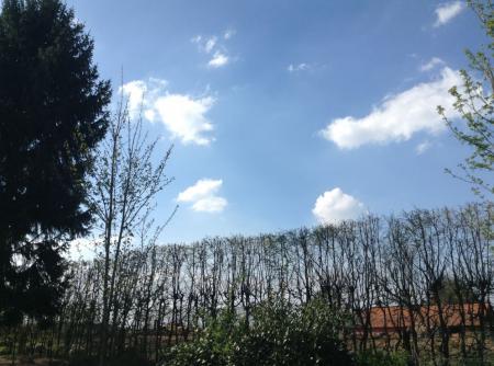 Bild zu 