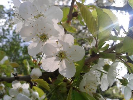 Bild zu 