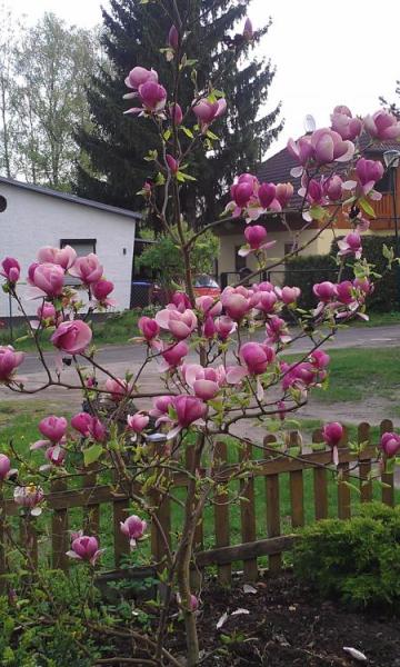 Bild zu 