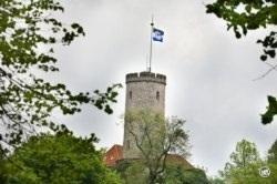 Bild zu 