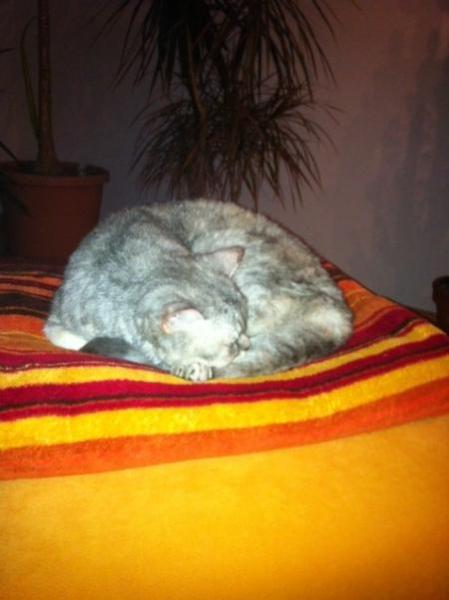 Bild zu 