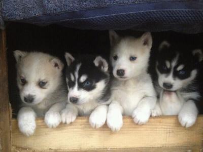 Bild zu @morrigan - Baby Forum - Allgemeine Themen