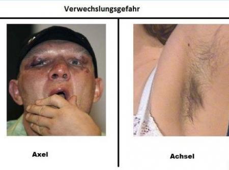 Bild zu 