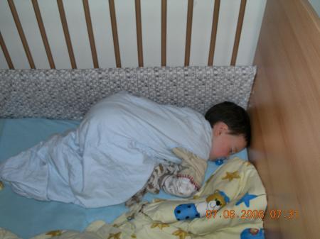 Bild zu