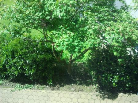 Bild zu 