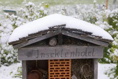 Bild zu Ach ja : Noch jemand etwwas Lust auf Neuschnee?? - Baby Forum - Allgemeine Themen