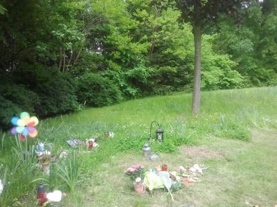 Bild zu Das ist das Sternen- Feld - Baby Forum - Allgemeine Themen