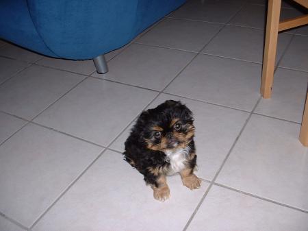 Bild zu