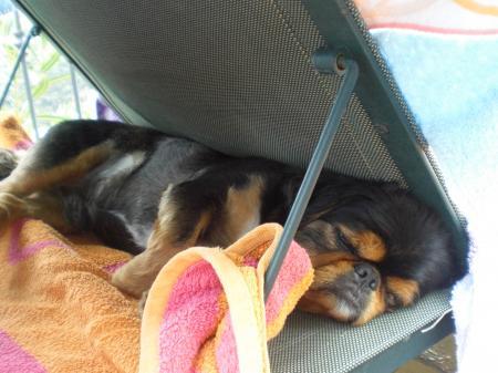 Bild zu