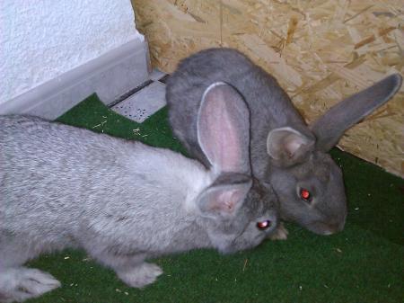 Bild zu 