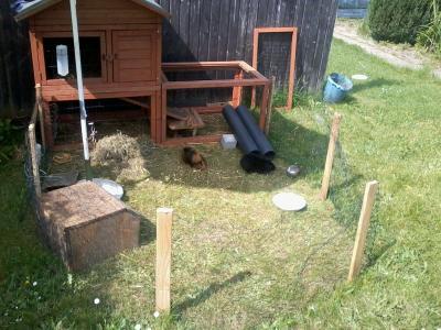 Bild zu ich freue mich gerade voll.... :) - Baby Forum - Allgemeine Themen