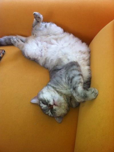 Bild zu *lach* Wie bitte kann man so liegen?! - Baby Forum - Allgemeine Themen