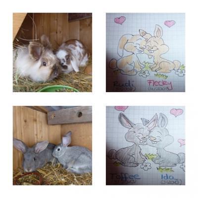 Bild zu Kaninchen sind getauft und jedes Pärchen hat sein Schild! - Baby Forum - Allgemeine Themen