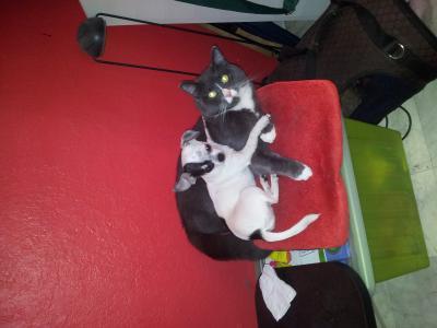 Bild zu voll suess meine zwei mäuse - Baby Forum - Allgemeine Themen