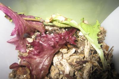 Bild zu mf4 da? "DRINGEND"es Anliegen - Baby Forum - Allgemeine Themen