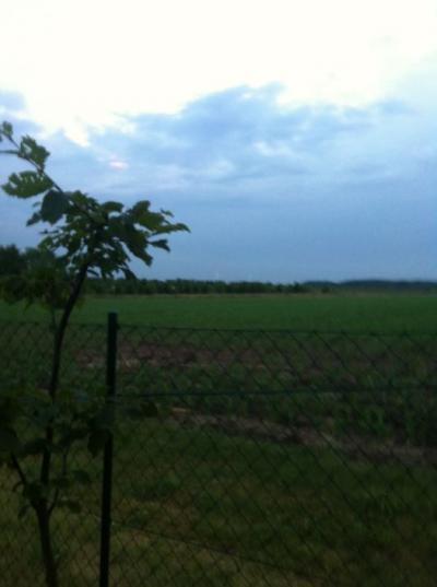 Bild zu Doch..ja... - Baby Forum - Allgemeine Themen