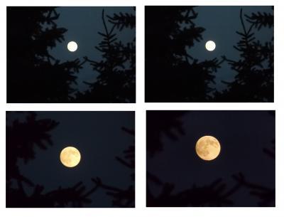 Bild zu Mond - Baby Forum - Allgemeine Themen