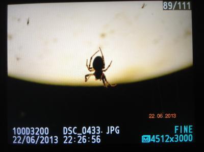 Bild zu Kuck mal Ösi, das ist auch schön... - Baby Forum - Allgemeine Themen