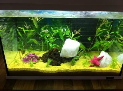 Bild zu Elseihr Aquarium ist fertig und sie ist voll stolz - Baby Forum - Allgemeine Themen