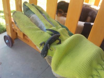 Bild zu was ist das - Baby Forum - Allgemeine Themen