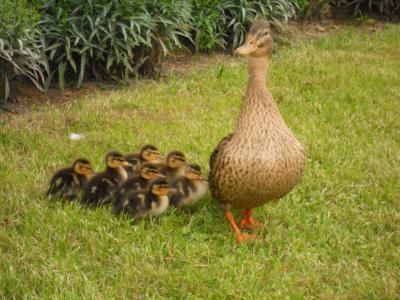 Bild zu Da hat sich doch - Baby Forum - Allgemeine Themen