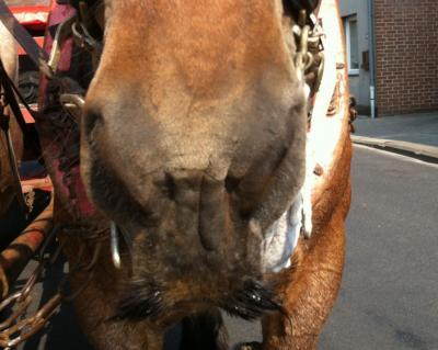 Bild zu Gestern.... - Baby Forum - Allgemeine Themen