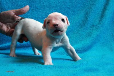 Bild zu Schaut mal was für ein Grinsekeks :D - Baby Forum - Allgemeine Themen