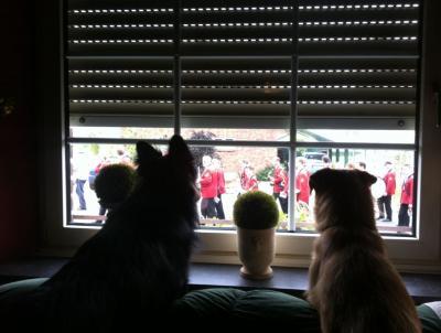 Bild zu Schützenfest... - Baby Forum - Allgemeine Themen