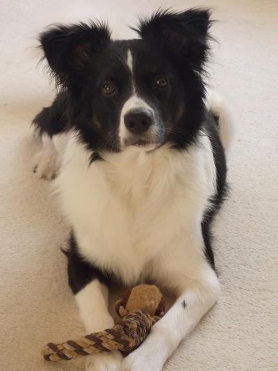 Bild zu Dann eben jetzt ein anderes Bild vom süßen - Baby Forum - Allgemeine Themen