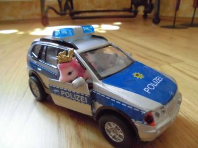 Bild zu Filly Pferde nur was für Mädchen? von wegen... - Baby Forum - Allgemeine Themen