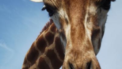 Bild zu Guckt mal - Baby Forum - Allgemeine Themen