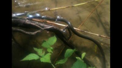 Bild zu Mein Sohn wollte Fische angeln und hatte das an der strippe.... - Baby Forum - Allgemeine Themen