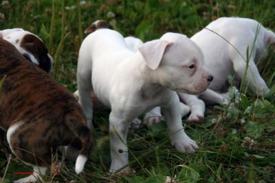 Bild zu wie gross er geworden ist - Baby Forum - Allgemeine Themen