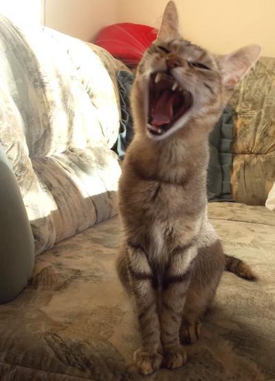 Bild zu *gg* - Baby Forum - Allgemeine Themen