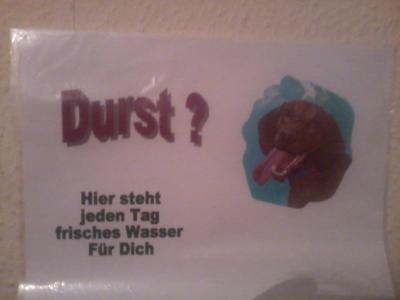 Bild zu frage an die Hundebesitzer.... - Baby Forum - Allgemeine Themen