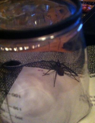 Bild zu Kennt ihr das.... - Baby Forum - Allgemeine Themen