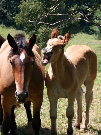 Bild zu @kleiner Zwerg07 bist Du auch neu? - Baby Forum - Allgemeine Themen