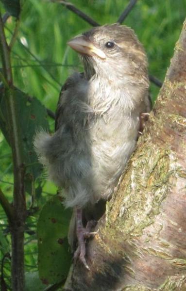 Bild zu (wilde) Tiere, die Mini-Nilo faszinieren - Baby Forum - Allgemeine Themen