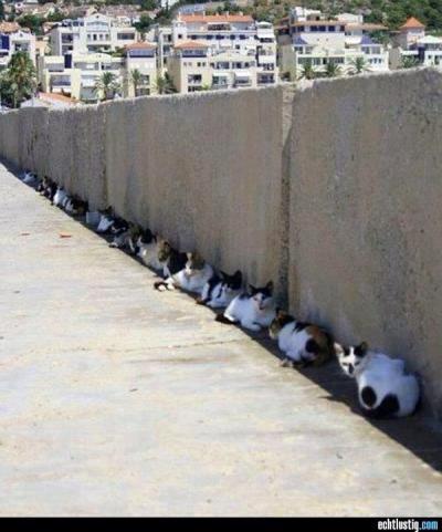 Bild zu Das Bild ist sooo herrlich..... - Baby Forum - Allgemeine Themen