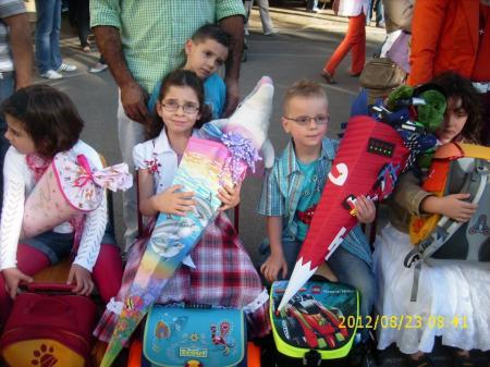 Bild zu