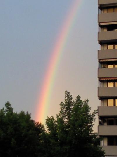 Bild zu Habe ich gerade vorm Haus fotographiert. - Baby Forum - Allgemeine Themen