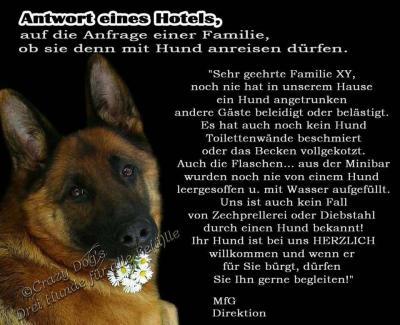 Bild zu Gerade auf FB gefunden - Baby Forum - Allgemeine Themen