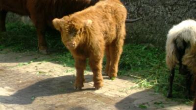 Bild zu meint ihr es ist okay... - Baby Forum - Allgemeine Themen