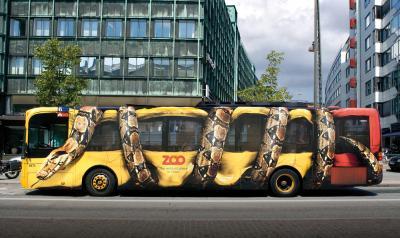 Bild zu Der ist cool oder? - Baby Forum - Allgemeine Themen