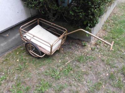 Bild zu fahrradhänger... helft mir mal bitte... - Baby Forum - Allgemeine Themen
