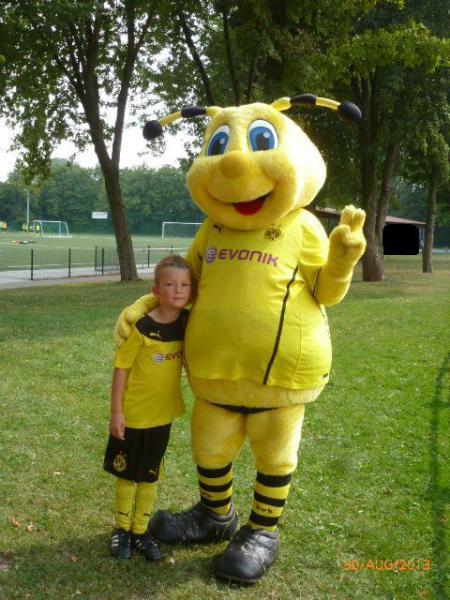 Bild zu
