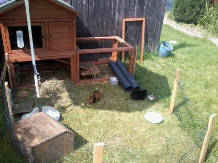 Bild zu
