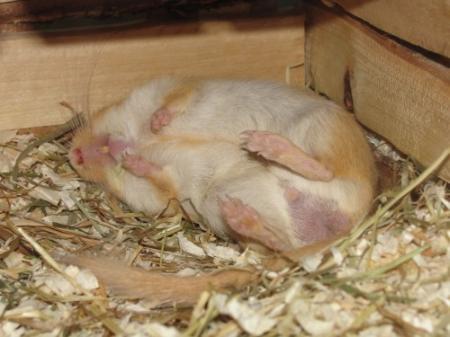 Bild zu 