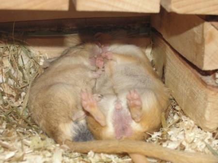 Bild zu 